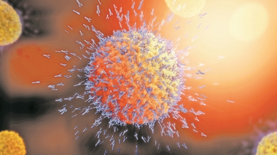 “细胞士兵”...